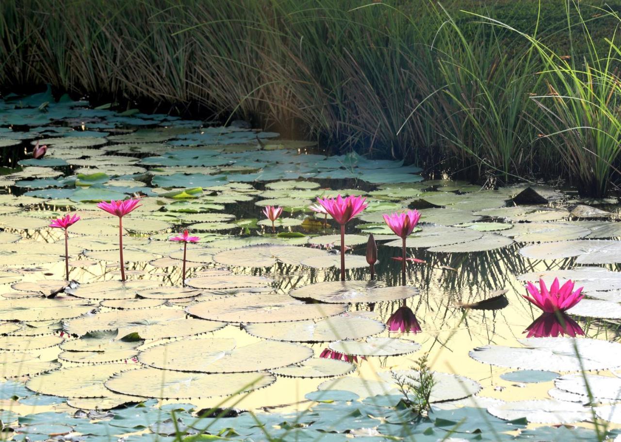 Niraamaya Wellness Retreats Backwaters And Beyond Kumarakom Ngoại thất bức ảnh